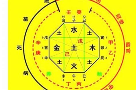 八字忌金|八字五行忌金是什么意思